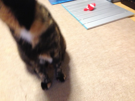 f0091785_17172912.jpg