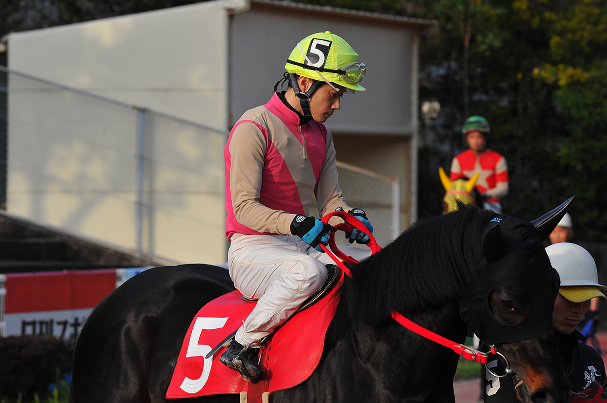 馬券の達人、とんたろうの高知優駿予想！_a0112888_10424099.jpg