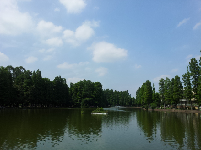 別所沼~ & 24日はお休み。。。 火曜日のご予約。。_b0210688_20453795.jpg