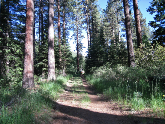 e0326991_8274546.jpg