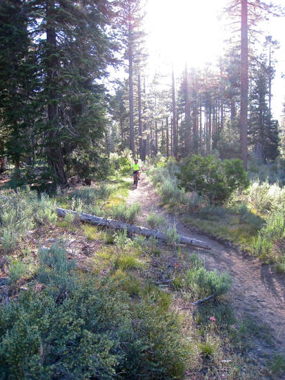 e0326991_995276.jpg