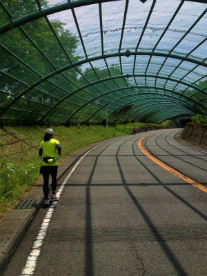 オクムRUN_a0036808_11402673.jpg