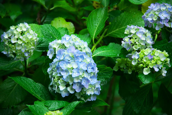 a0263109_21525094.jpg