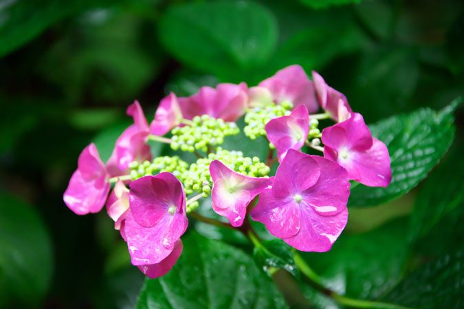 a0263109_2154618.jpg
