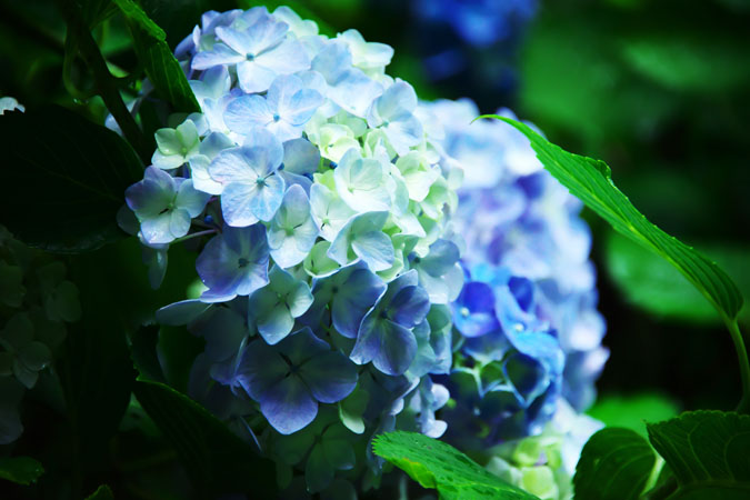 a0263109_21552535.jpg