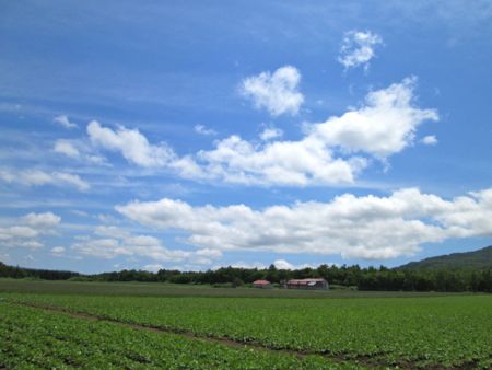 b0051109_744543.jpg