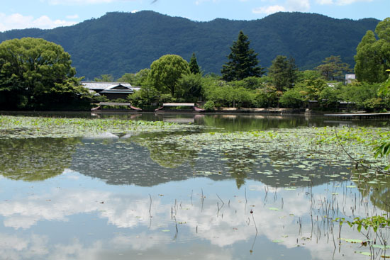 夏の嵯峨野8 大沢の池_e0048413_237235.jpg