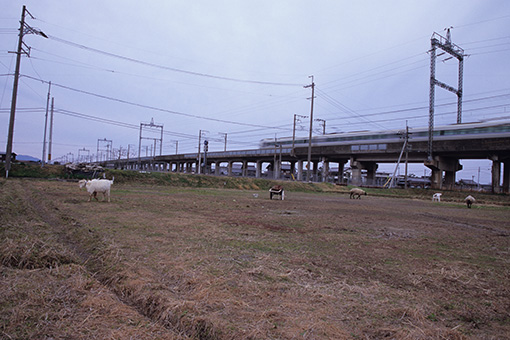 b0259218_20389.jpg