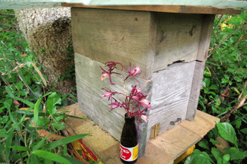 f0232920_1014126.gif