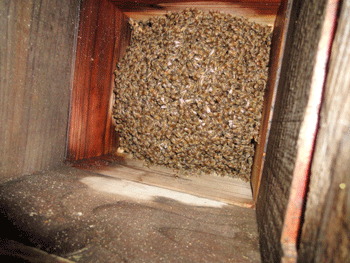f0232920_10304.gif