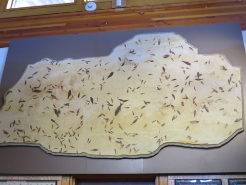 a0097322_1210257.jpg