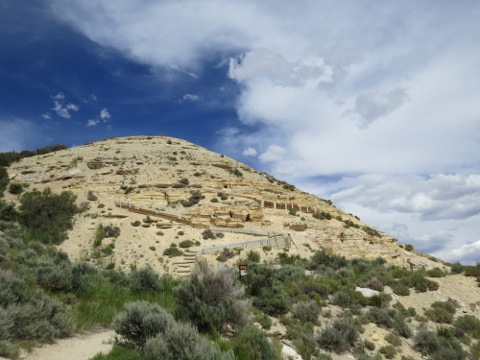 a0097322_1292840.jpg