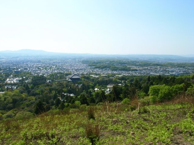 奈良公園と若草山(わたしのお気に入り)_f0209122_1822235.jpg