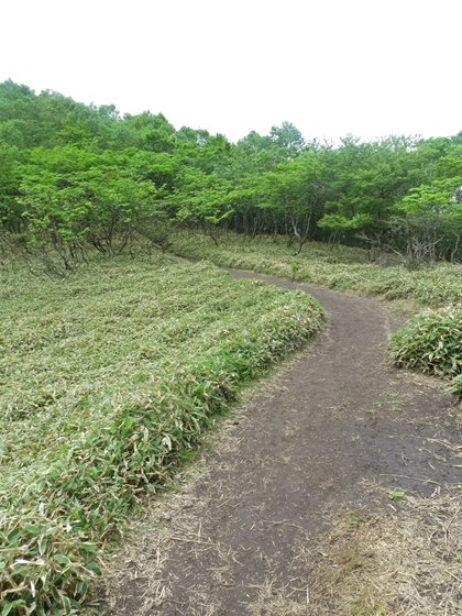 f0040525_211036.jpg