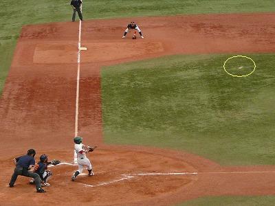 専修大対拓殖大 6月19日 東都大学野球1部2部入替戦_b0166128_939273.jpg
