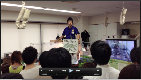 f0266029_802721.png