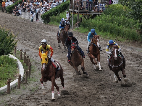 草競馬_c0077531_18162878.jpg