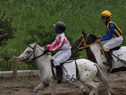 草競馬_c0077531_18204695.jpg
