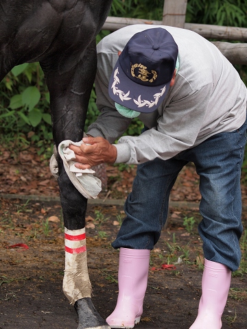 草競馬_c0077531_18262594.jpg