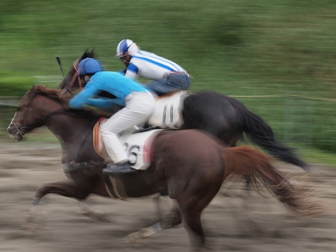 草競馬_c0077531_18361688.jpg