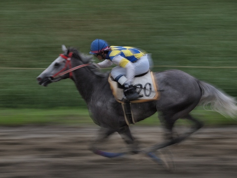 草競馬_c0077531_1836795.jpg
