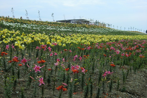 c0236632_90817.jpg
