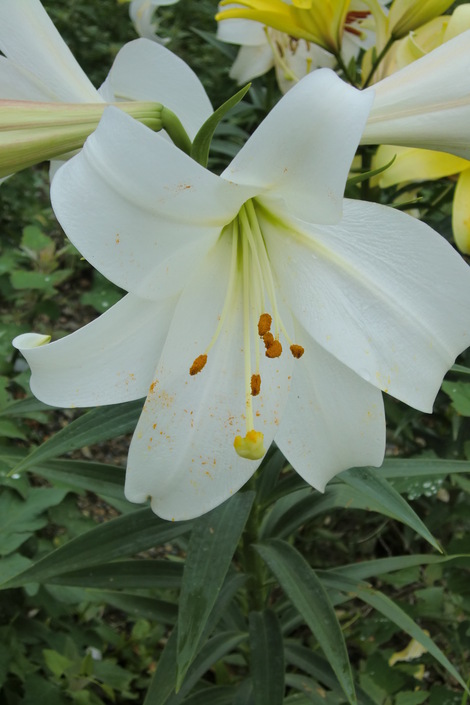 c0236632_92584.jpg