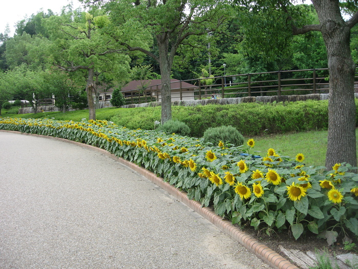 d0247833_15225671.jpg