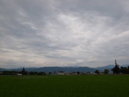 a0014840_20131120.jpg