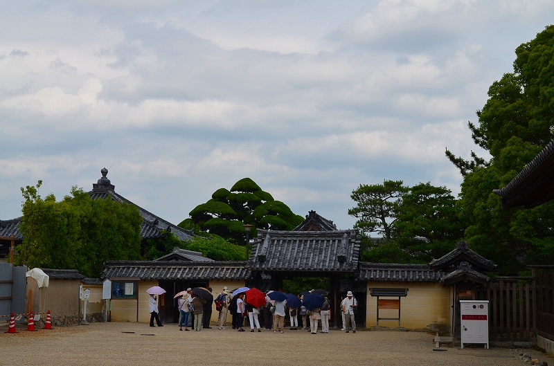 昔は『中宮寺』の弥勒菩薩が有名だったが・・・_e0237645_1717565.jpg