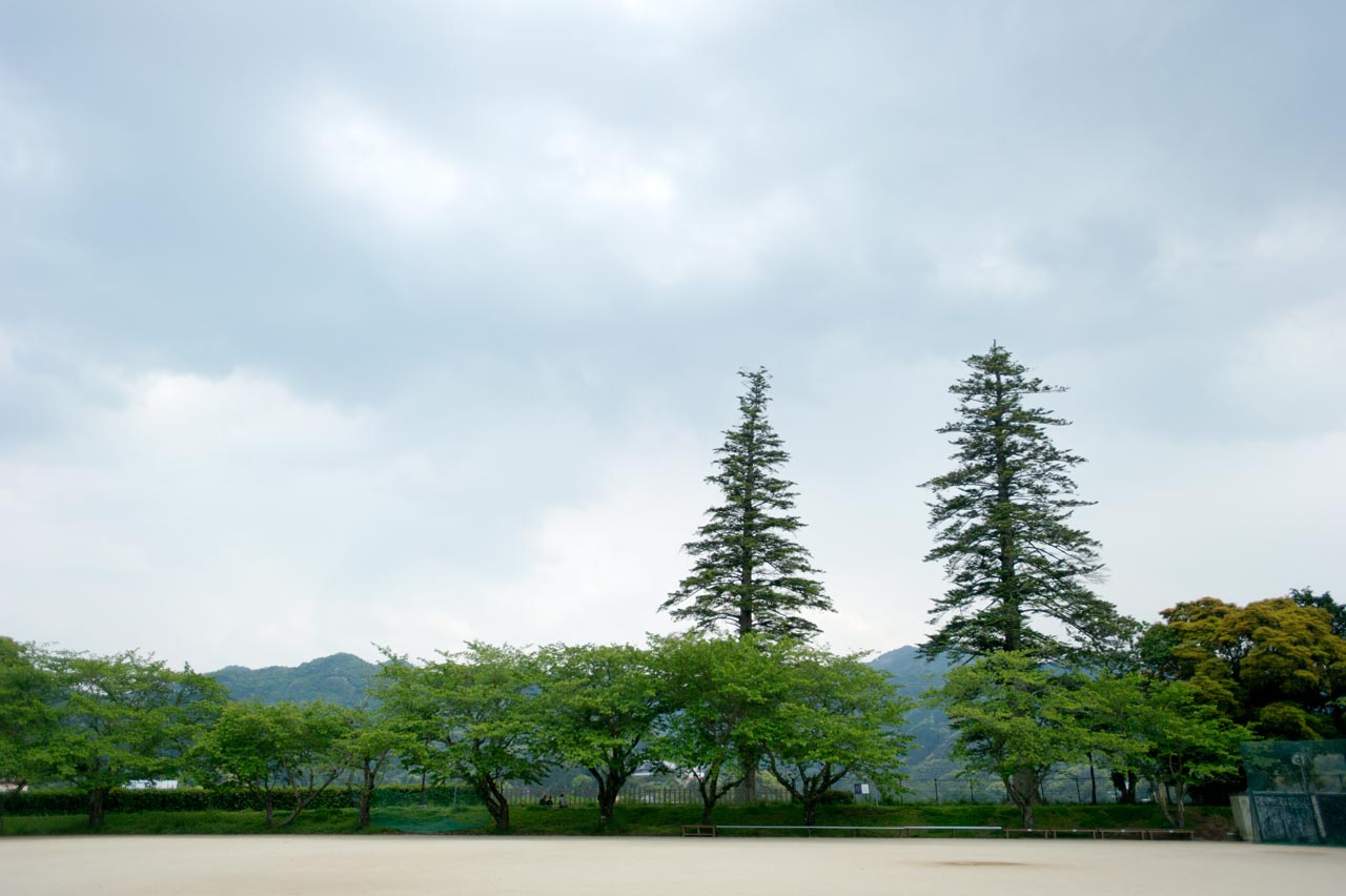  ◆臼杵城跡　２　大分県臼杵市_b0023047_3231558.jpg