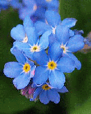 d0080547_16361350.gif