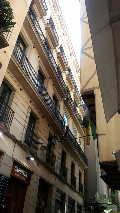 a0098948_22415553.jpg