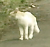 e0033751_17232625.jpg