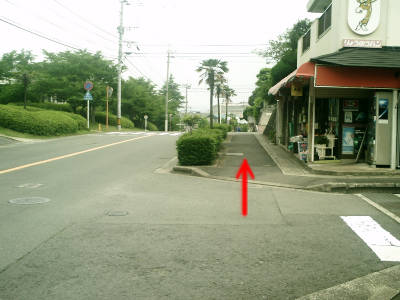 e0033751_17255181.jpg