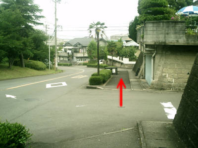 e0033751_1910420.jpg