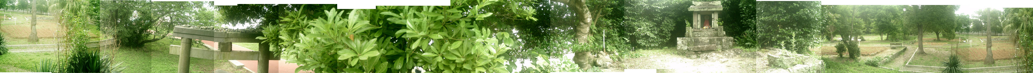 e0033751_19213020.jpg