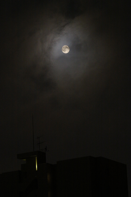 f0009457_2243234.jpg