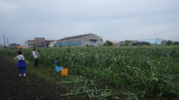 f0201157_124215.jpg