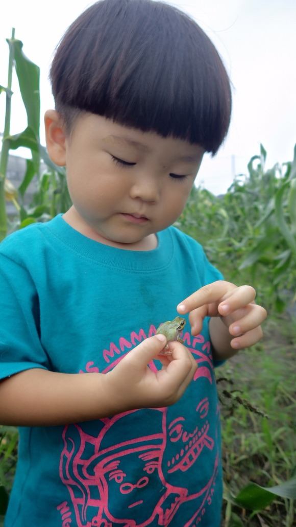 f0201157_1253422.jpg
