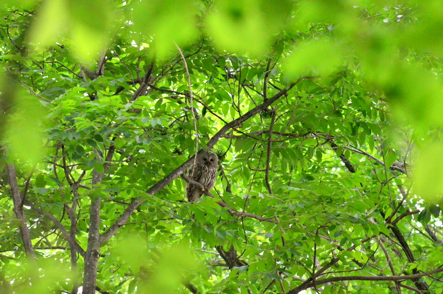 b0165760_21174971.jpg
