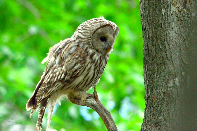 b0165760_21202166.jpg