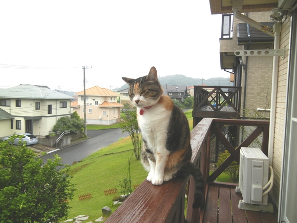 ’13、6,24(月)兼高かおるさんの本!_f0060461_1123223.jpg