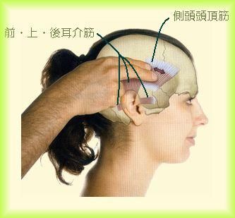 両臀部 後大腿のしびれ 治療施術のこと 両臀部 後大腿のしびれ 治療施術のこと