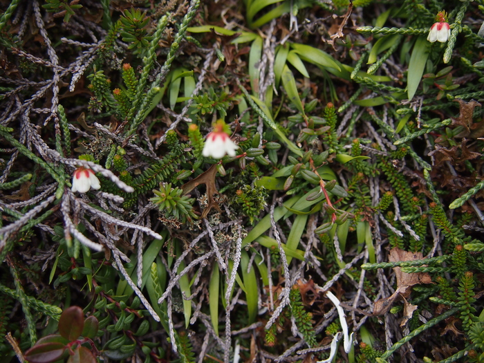 b0281366_14142473.jpg