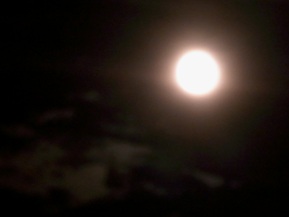 スーパームーンの次の夜_b0273973_2323878.jpg