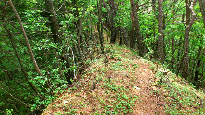 緑の戸谷峰・六人坊・烏帽子岩_c0220374_673424.jpg