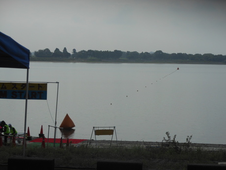 c0206177_8563852.jpg