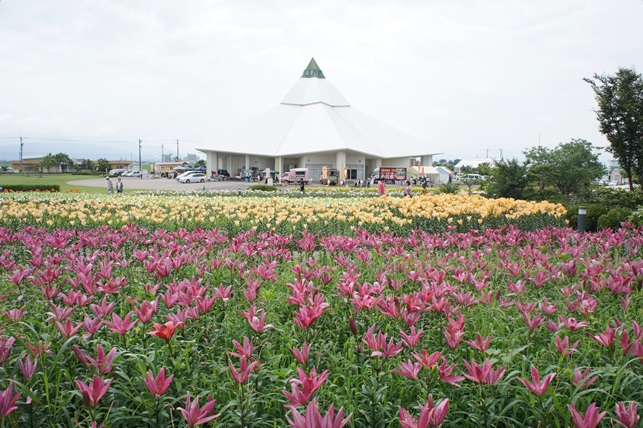 今年もゆりの里公園へ・・・_c0163878_1554717.jpg