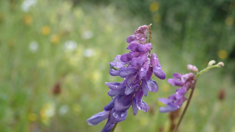 e0024081_23261010.jpg